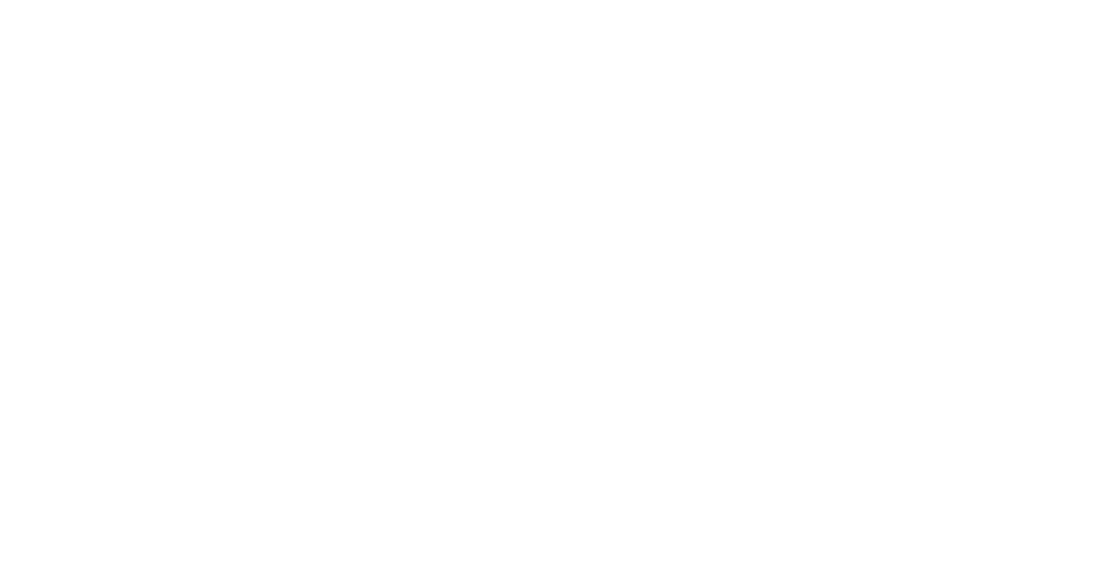 startechsolution white logo